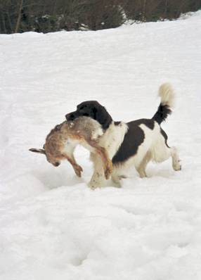 image002