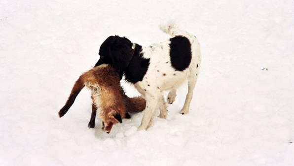 image004