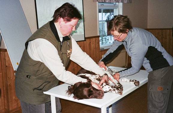 image005